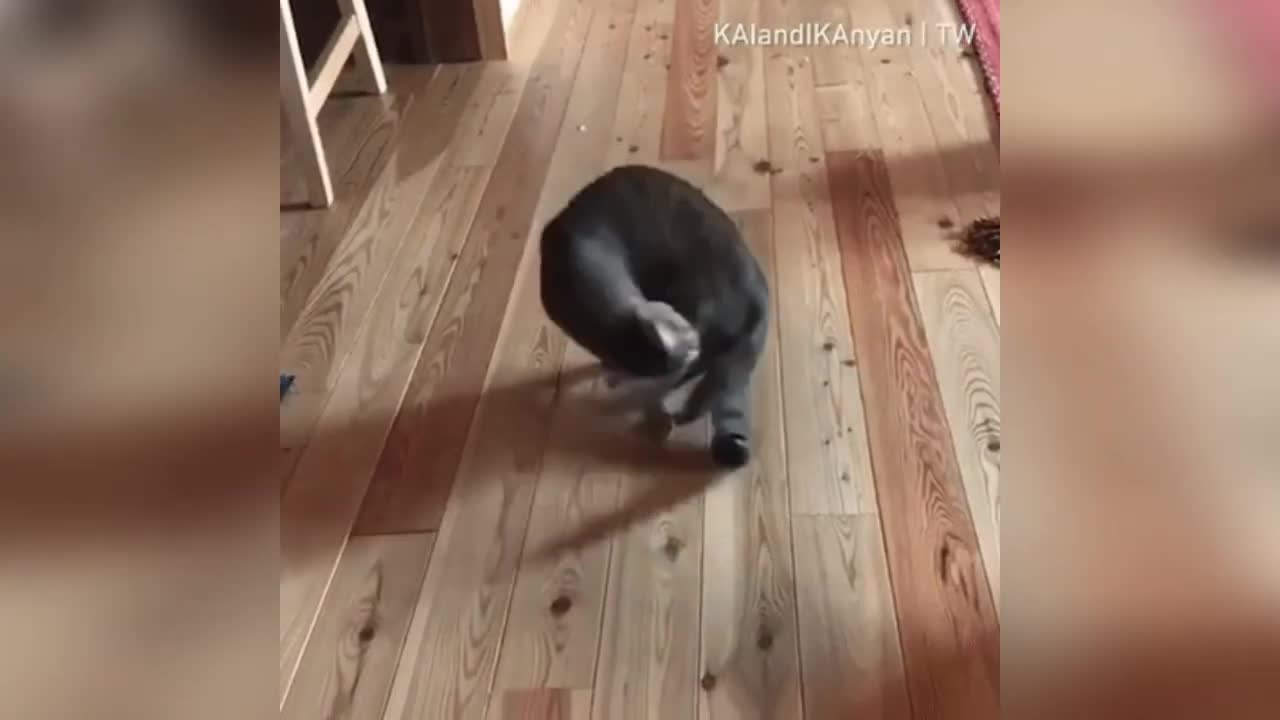 👍👍👍