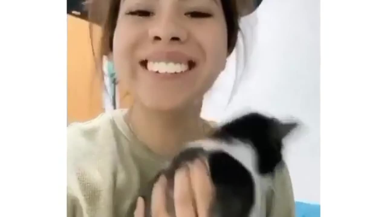 Funny cat reaction 🤣