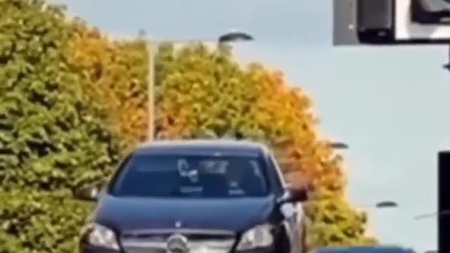 Carro voador