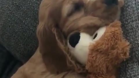Sleep with your favorite toy!