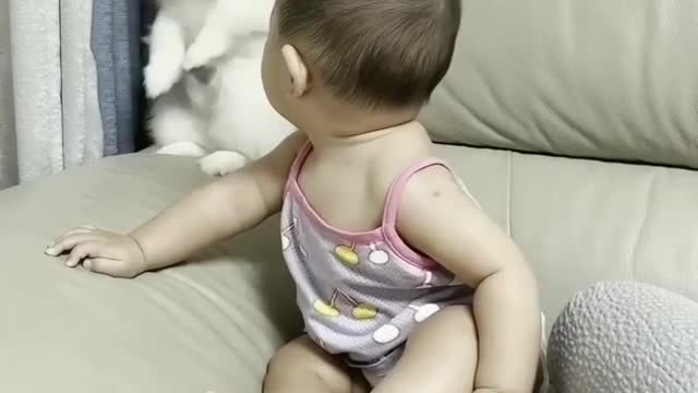 Cute Dog playing with cute baby😍-cute baby and cute Dog