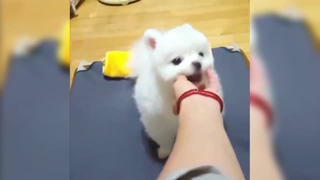 Hiromi: Strange why I keep hiccups