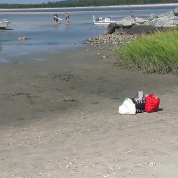 Group of guys on the beach argue and start fight