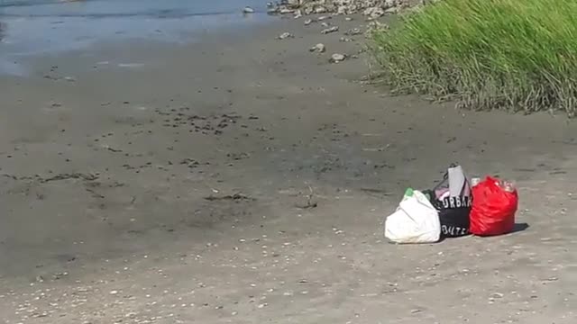 Group of guys on the beach argue and start fight