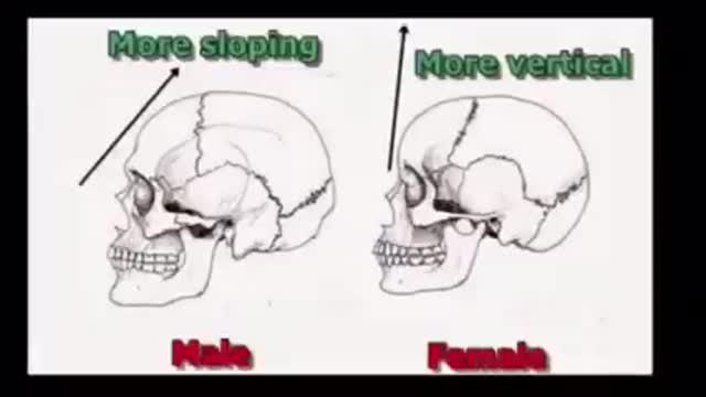 Man vs Woman Physical Explanation