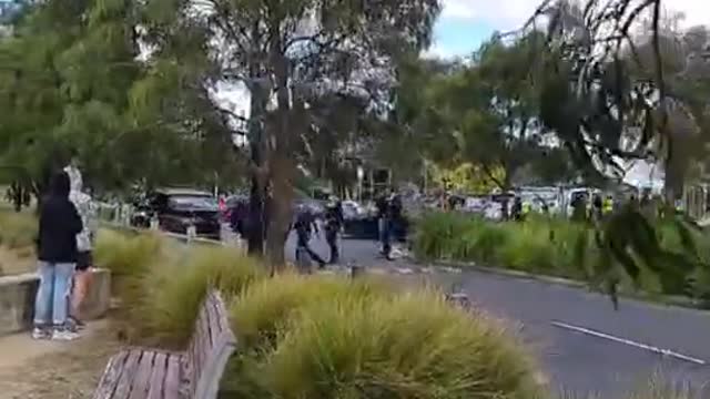 Police go out in force to patrol a park in the suburbs of Victoria.