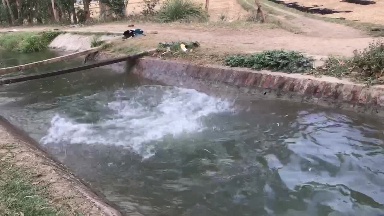 Summer vacation enjoyment