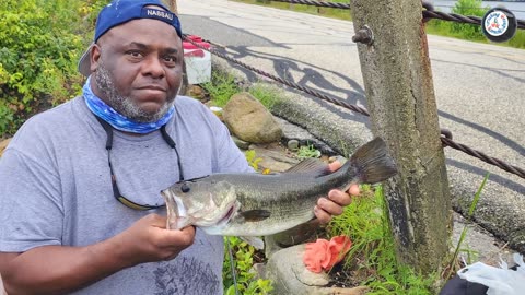 Fishing for Bass in Pond | Fishing in USA | Holland Pond | Massachusetts | Fishing Group Karachi
