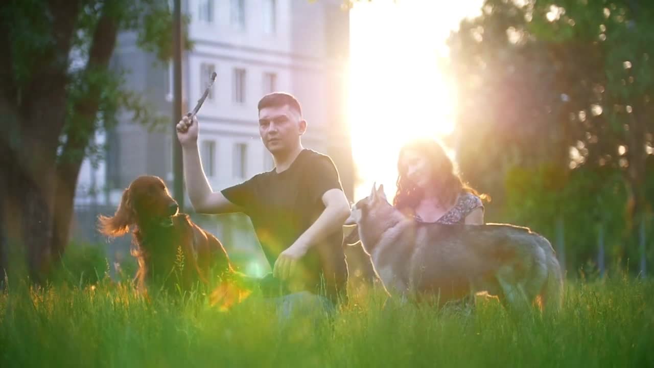 Loving couple with their dogs having a rest outdoors - throws a stick to a dog at sunset