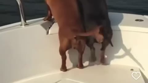 We All Have That ONE Friend ….. 😍