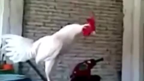 Boy takes a broom in the face.