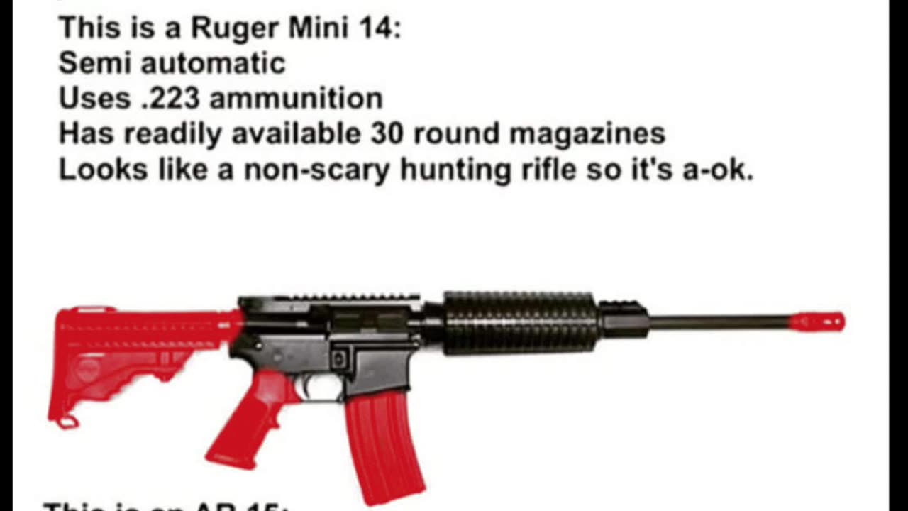 Ar-15 Assault Rifle vs. Ruger Mini 14 Rifle