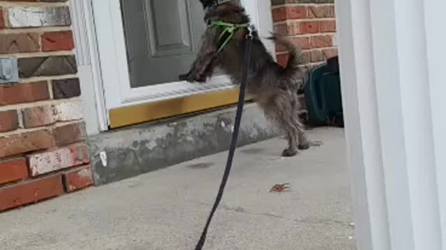 Omg my friend is home!