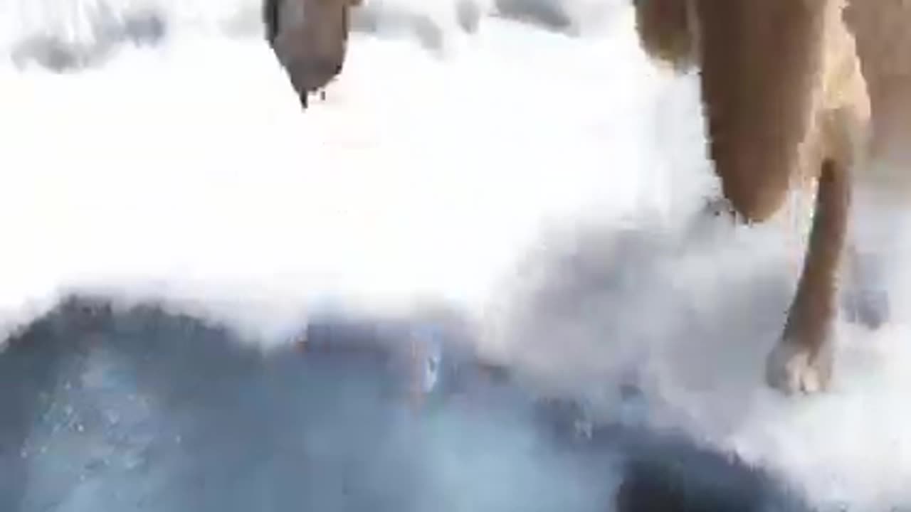 Hollywood movie