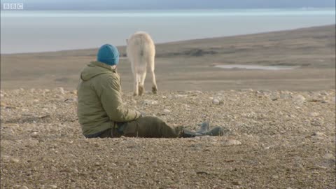 Dangerously Close to Wolves | Snow Wolf Family and Me | BBC Earth