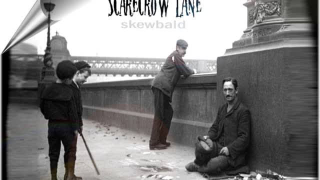 Scarecrow Lane - Skewbald