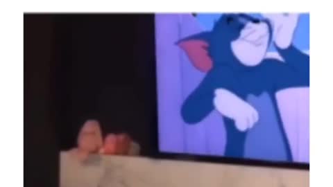 The funny video real cat to jump Tom and Jerry show