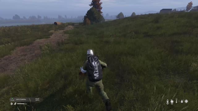 Dayz clip