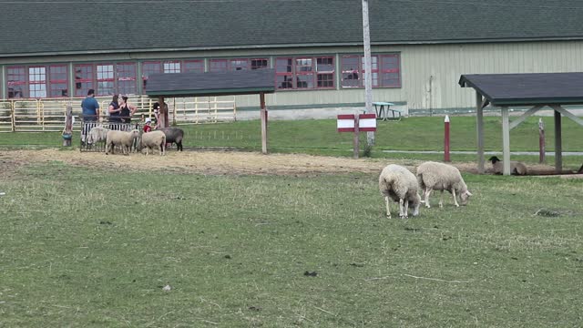 Experimental Farm Ottawa Ontario