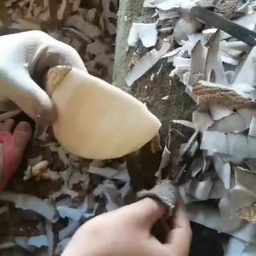 Satisfying Coconut Pelling 😍