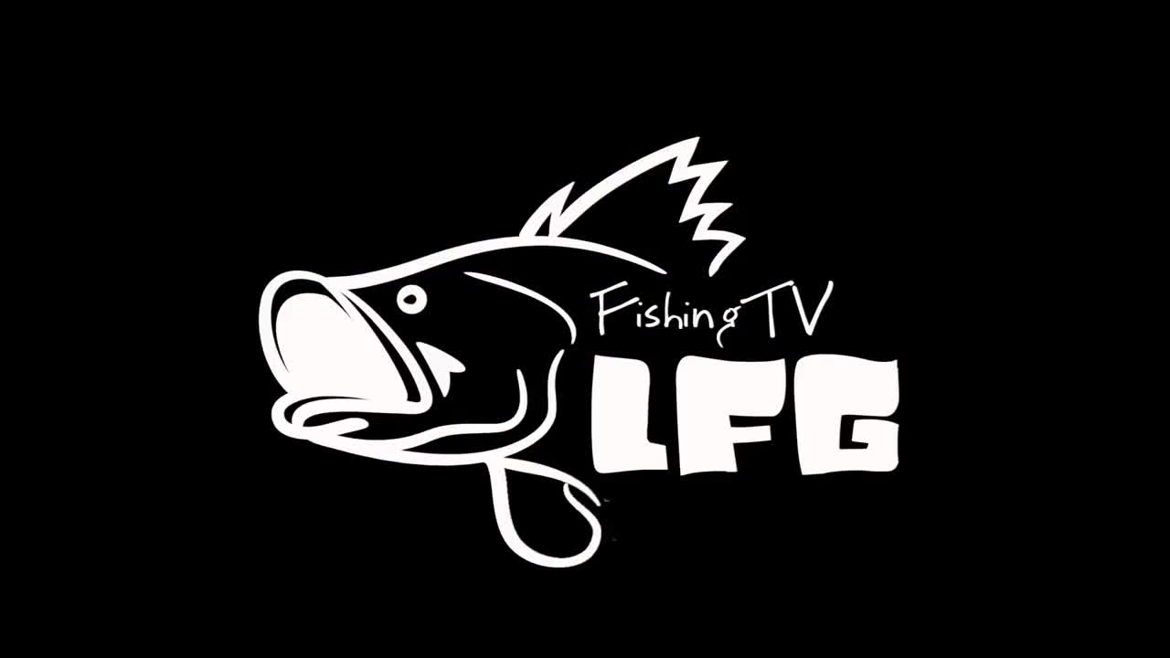 How to clean and cook delicious cat fish
