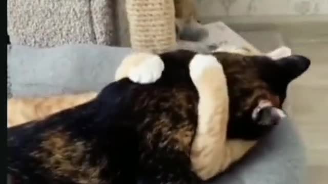 when you're tired it feels really good when you massage it