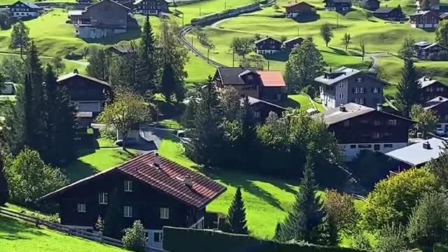 Green Dewar Switzerland