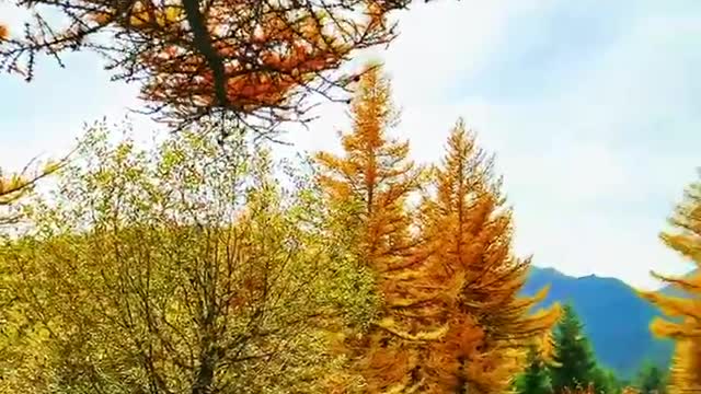 The beauty of the countryside in the mountains