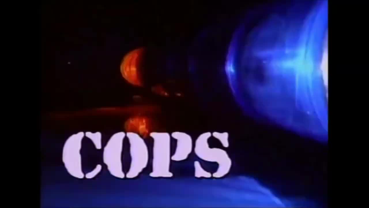 Cop Simulator