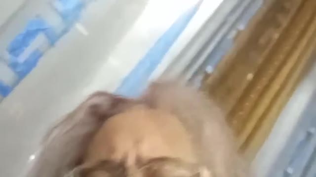 Η ΤΩΝΙΑ ΜΕ WILLIAM ΚΑΙ ΜΙCHEL...TOTAL LOST...ΒΗΤΑ ΛΑΓΟΥ...ΣΕΙΡΙΟΣ ΚΟΝΚΤΟΥΡΙΑΝ....