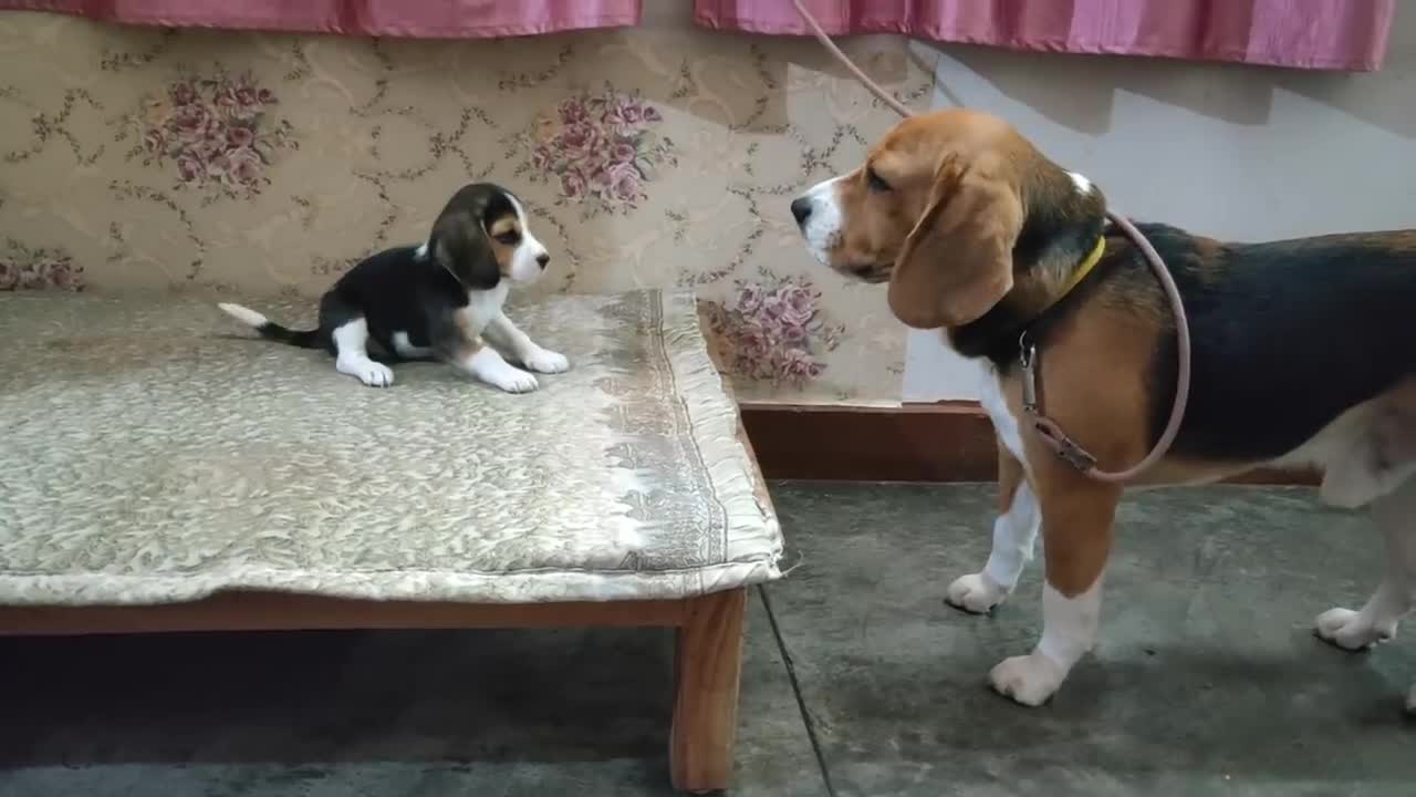 Deep conversation between father & daughter