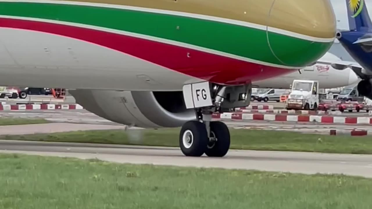 Golden Falcon