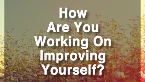 Continuous Improvement