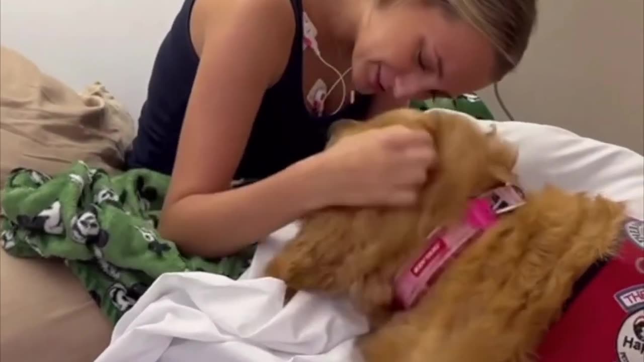 "How My Therapy Dog Helps Me Write: A Heartwarming Journey"