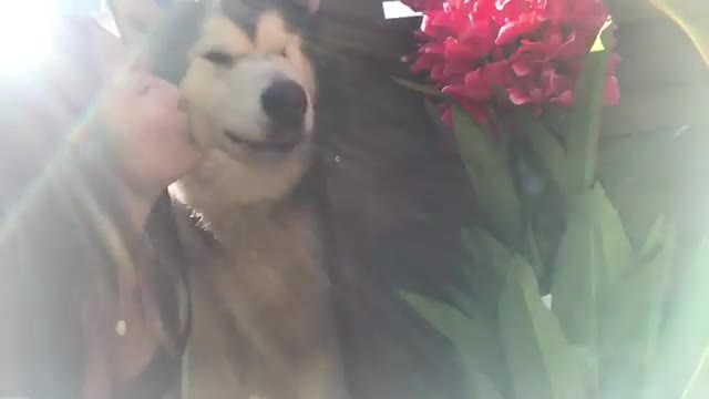 touch your head
