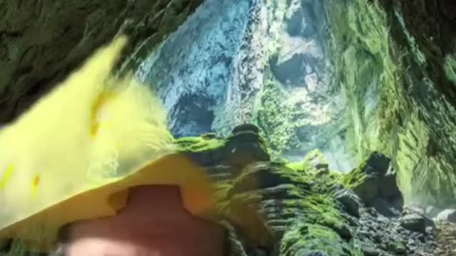 Reptilian underworld being exposed 2021