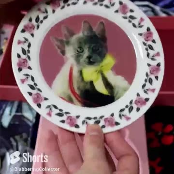 Unboxing Umbridge Cat Plates! #wizardingworld #harrypotter #umbridge #cats