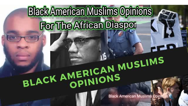 Black American Muslims Opinions