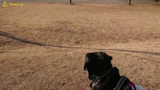 Basking in the sun at a nearby park