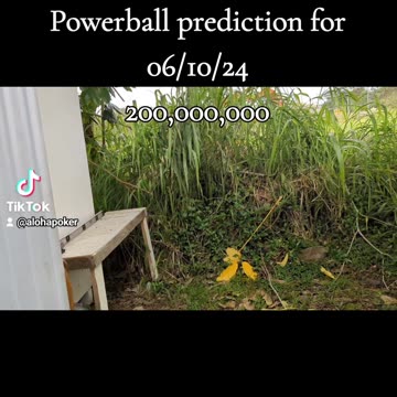 Powerball prediction for 06/10/24