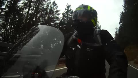 Yamaha FZ1 in the Black Forest