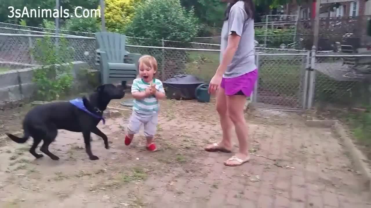 animals and kids funny