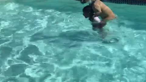 Little Boy Doggy Paddles in The Pool with Big Pup on His Back