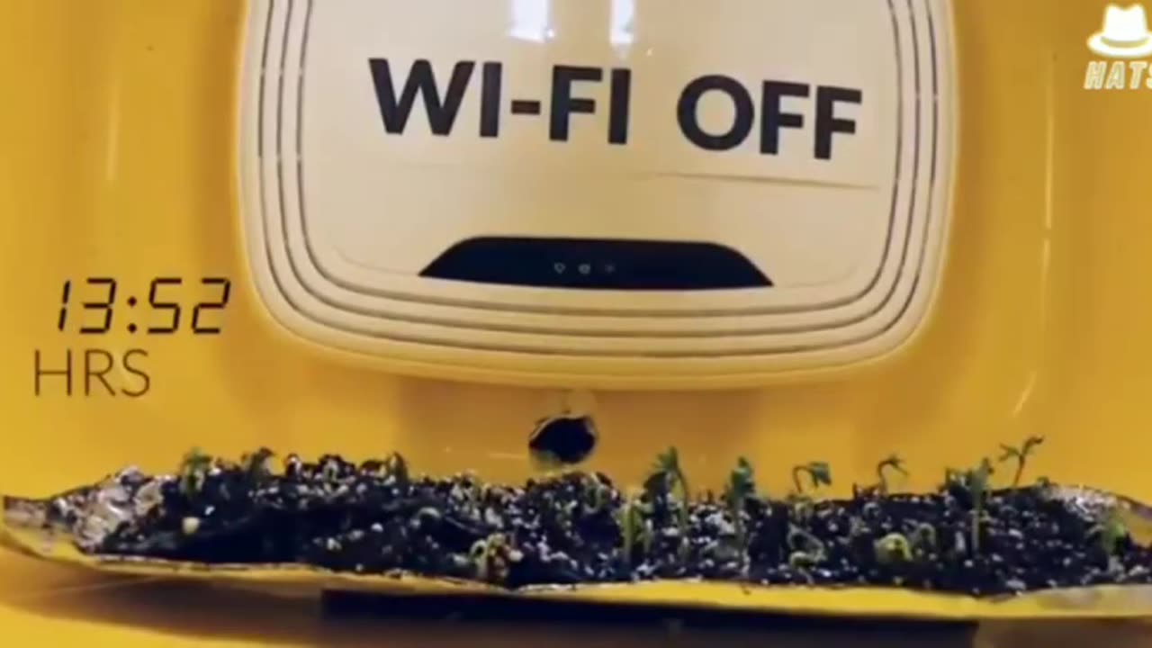Danni da wi-fi sulle piante