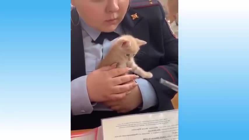 Funniest Pets 😹 Don't try to hold back Laughter