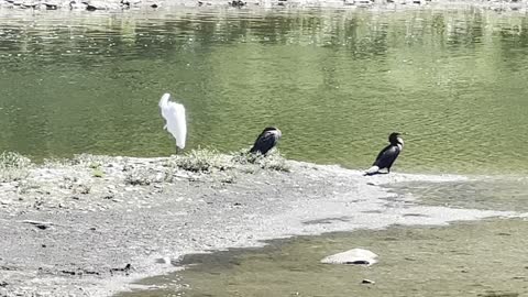 Everyone getting along