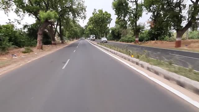 Beautiful trees🌲🌳🌴 alongside road