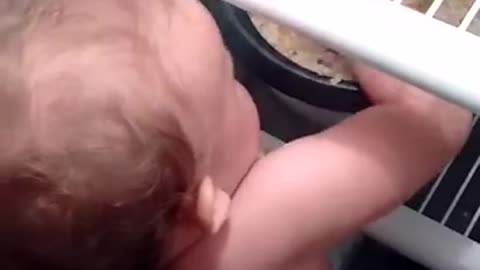 baby jumped to fridge