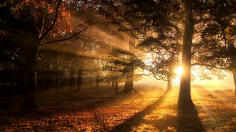 Relaxing Music