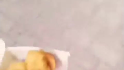 On bouffe de la merde ! Preuve en image